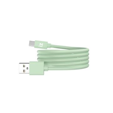 Câble IZZY USB / USB-C 1m - 60W - vert