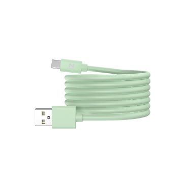 Câble IZZY USB / USB-C 2m - 60W - vert